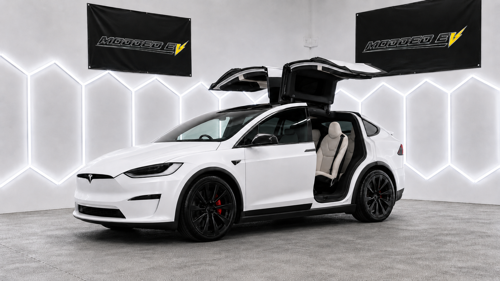 Model X stock look